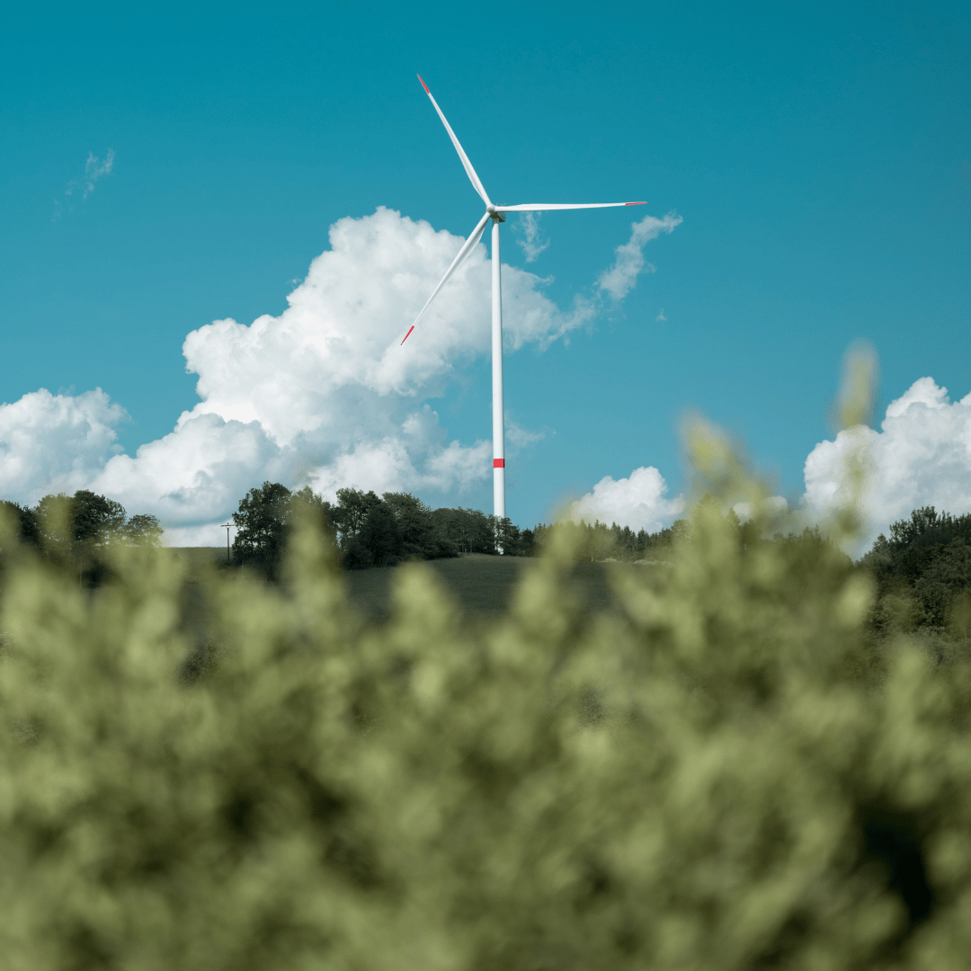 Voordelen van een groene baan met uitzicht op windmolen